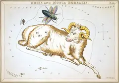 Съзвездието Овен в звездния атлас „Огледалото на Урания“ (Лондон, 1824)