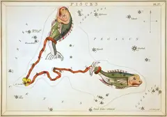 Съзвездието Риби в звездния атлас „Огледалото на Урания“ (Лондон, 1824)