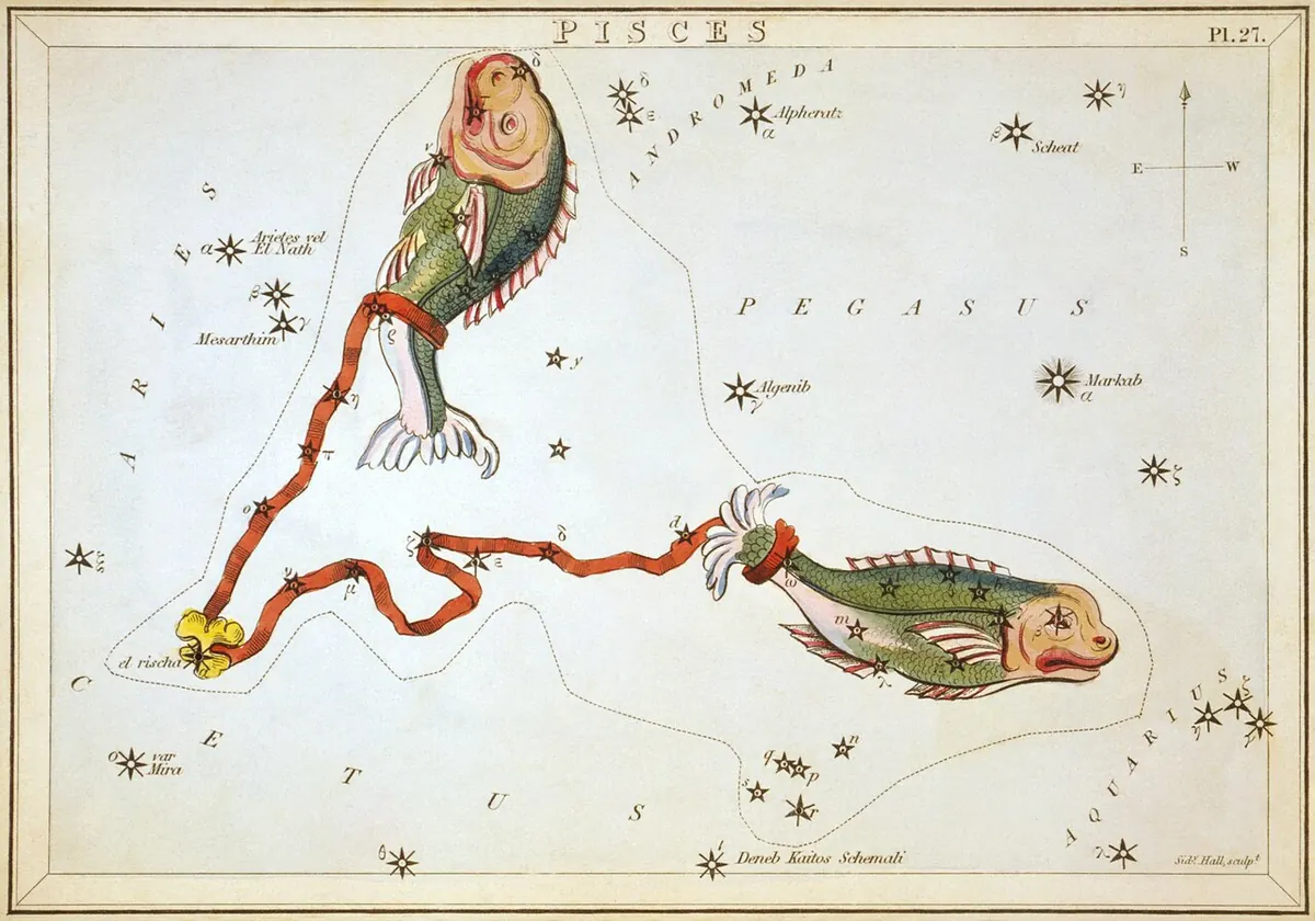Съзвездието Риби в звездния атлас „Огледалото на Урания“ (Лондон, 1824)