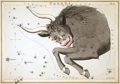 Съзвездието Телец в звездния атлас „Огледалото на Урания“ (Лондон, 1824)